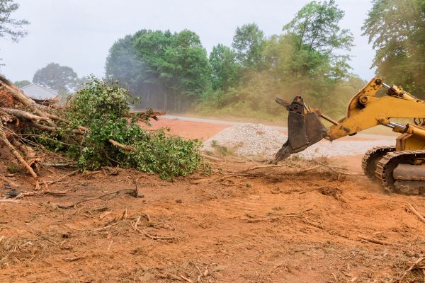Ground Clearing in Woodstock