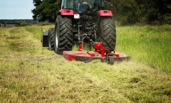 Brush Clearing Service in Woodstock
