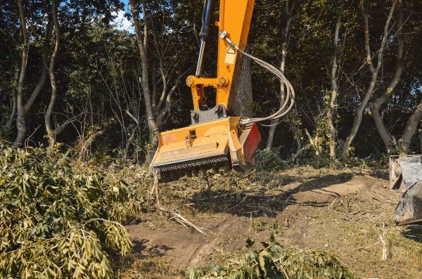 Brush Removal Service in Woodstock
