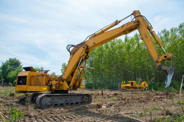 Cost of Farm Clearing in Woodstock