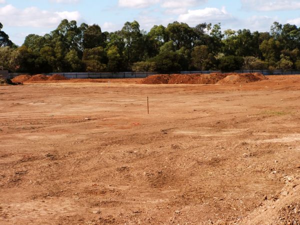 Cost of Field Clearing in Woodstock