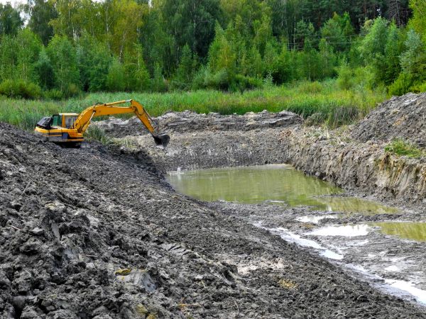 Cost of Lake Lot Clearing in Woodstock