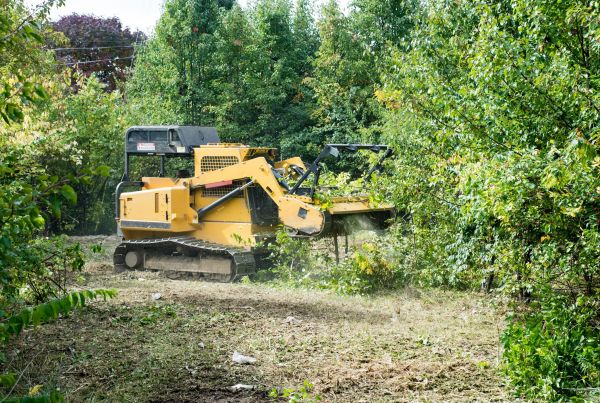 Cost of Pathway Clearing in Woodstock