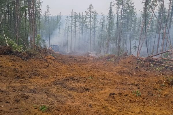Cost of Hill Clearing in Woodstock