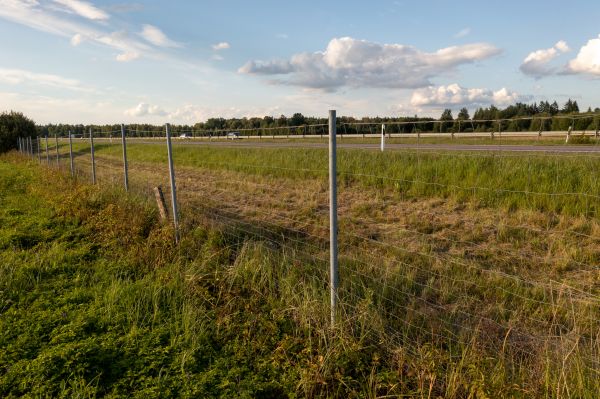 Cost of Property Line Clearing in Woodstock