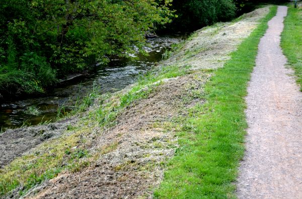 Cost of Trail Cutting in Woodstock